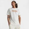 Men's Puma Sportswear Logo T-Shirt White/Beige - 67712465 100